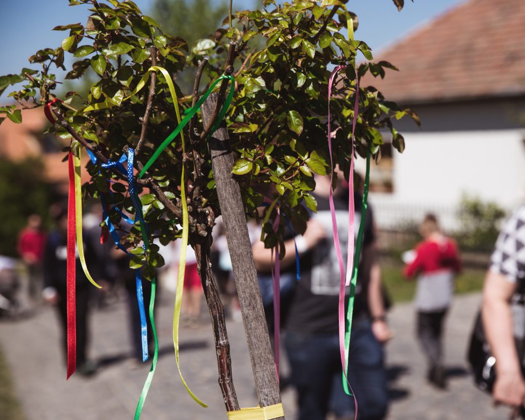 Laux Event 1 Baum mit bunten Schnüren